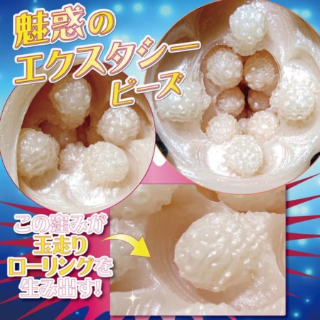 ポロンコロンの内部構造