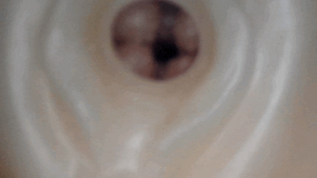 ポロンコロンの内部カメラ