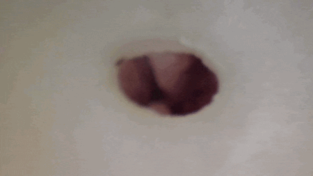 揉んでゾって いなりコラボの内部カメラ