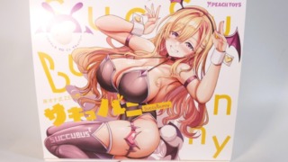 床オナ式ZEROMINI　サキュバニーのパッケージ