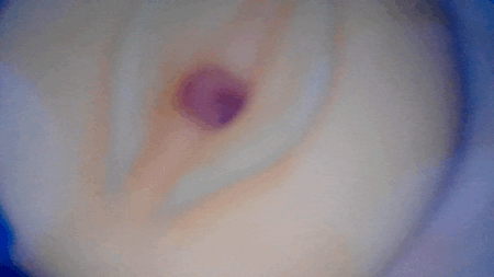 マンダラの内部カメラ