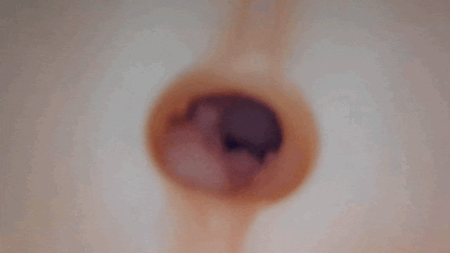 AIV―アイヴ― NO.13の内部カメラ