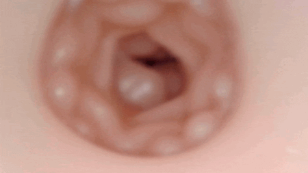 ZARA GYUGYUの内部カメラ