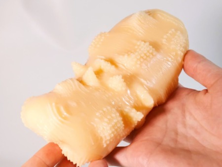 マンダラの内部突起