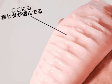 VIRGIN BOYS（ドーテーボーイズ）の横ヒダ