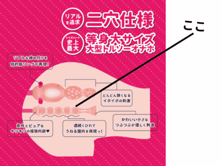Hでお尻の大きなお姉さんは好きですか？のマンコ穴内部構造