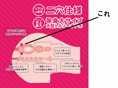 Hでお尻の大きなお姉さんは好きですか？のアナル穴内部構造