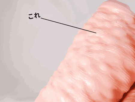 ZARA PUNIPUNIの横ヒダ