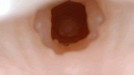 MOMONII 美姫シリーズ 生腰美尻 桃の姫の振動