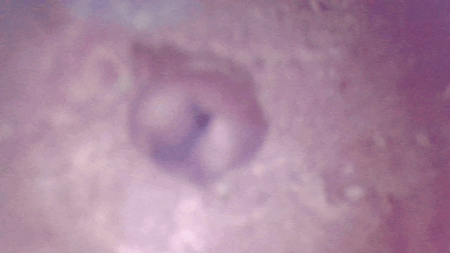 グルグル淫撃ねじ締め姉さん-二層エディションの内部カメラ