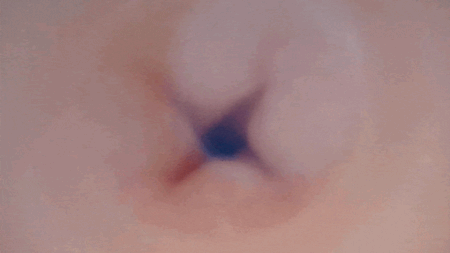 Hard Worker!の内部カメラ