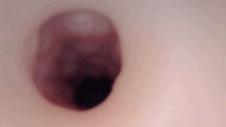 ZARA PUNIPUNIの内部カメラ