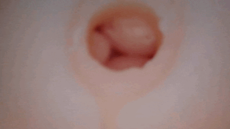 ニクイボの乱の内部カメラ