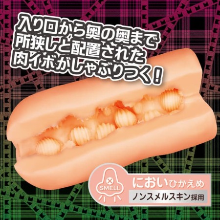 ニクイボの乱の内部構造