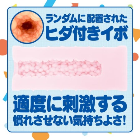 ZARA PUNIPUNIの内部構造