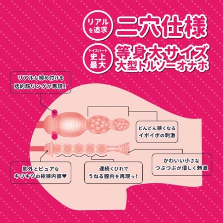 Hでお尻の大きなお姉さんは好きですか？の内部構造