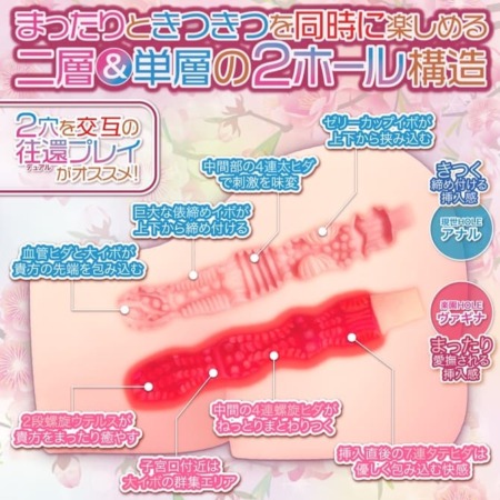 桃源郷ニンフェットの内部構造