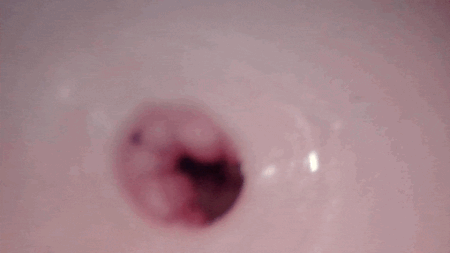 FutaDoll ふたなりの嫁入り feat.弐珠司 hole editionの内部カメラ