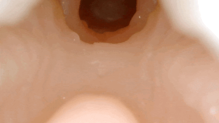 MOMONII 美姫シリーズ 生腰美尻 桃の姫のピストン