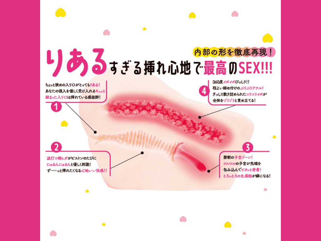 りある the りあるの内部構造