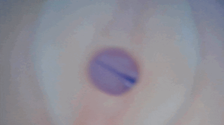 回転させるオナホ 「グランスレヴォリューション」の内部カメラ