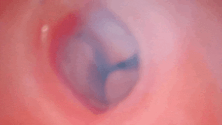 サンカクカリブレーションの内部カメラ