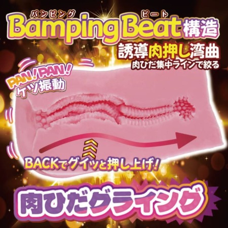 肉ヒダ ケツバックの内部構造