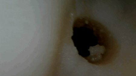 淫惑サジェスチョンのアナル穴
