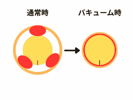 Camphorencer(カンフルエンサー)の密着感