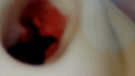 床オナ式マウントプレスONEの内部カメラ