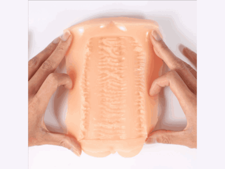 極膣の内部構造