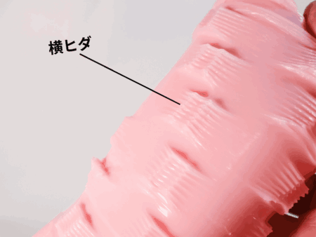 ももわれの横ヒダ