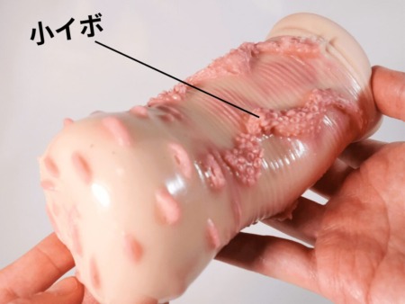 ボクのボーイッシュな彼女のボテヒダ表面のイボ