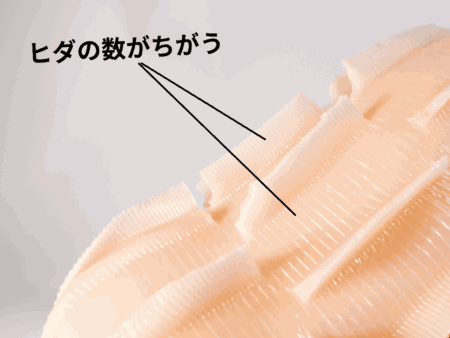 グランスパイラルのヒダの差分