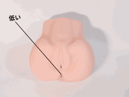 極上 膣肉生陰唇は穴位置が低い