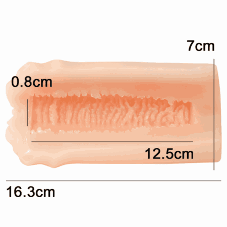 極膣に内部構造