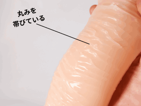 極膣のヒダは丸い