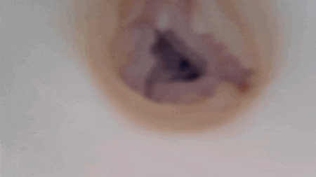 Camphorencer(カンフルエンサー)の内部カメラ