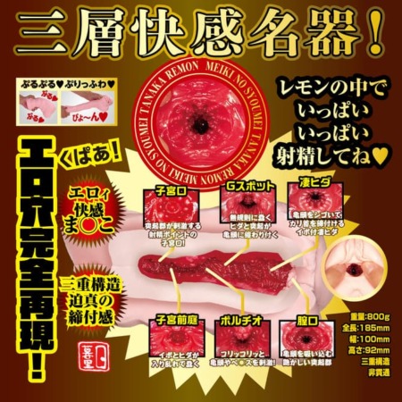 名器の証明13 田中レモンの内部構造