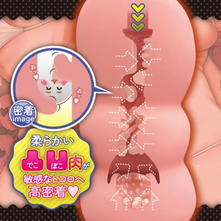 ぽてむちちゃんの内部構造