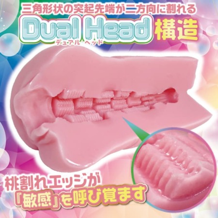 ももわれの内部構造