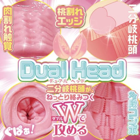 ももわれの内部構造