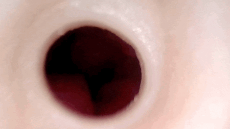 ～過激すぎるギリギリを攻めた～ ＜macca’ism HOLE(マッカイズムホール)＞の内部カメラ