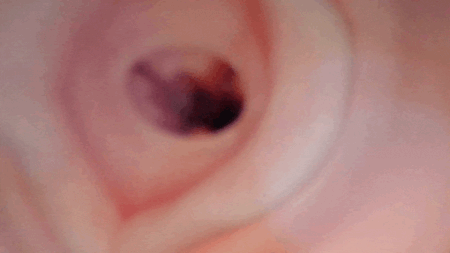 ももわれの内部カメラ