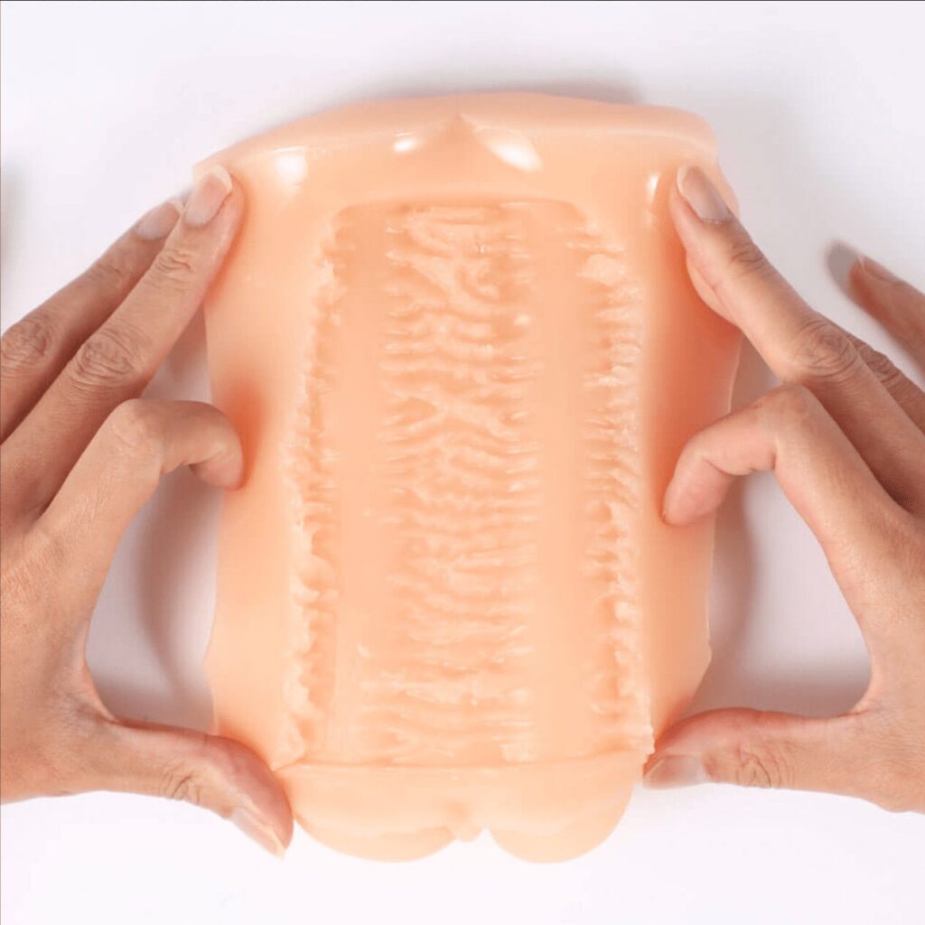 極膣の内部構造