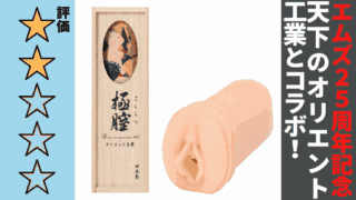 極膣を徹底レビュー