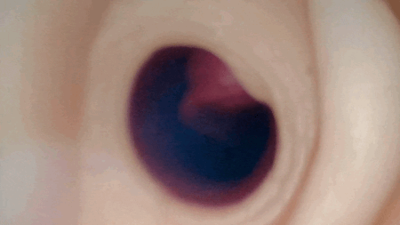 わるいこ屋さん せんぱぁい 薫子の手作りオナホでオナニーしてください ～マゾ好きないじあま後輩の媚び媚び偏愛オナホ搾精～ and 雲八はちの内部カメラ