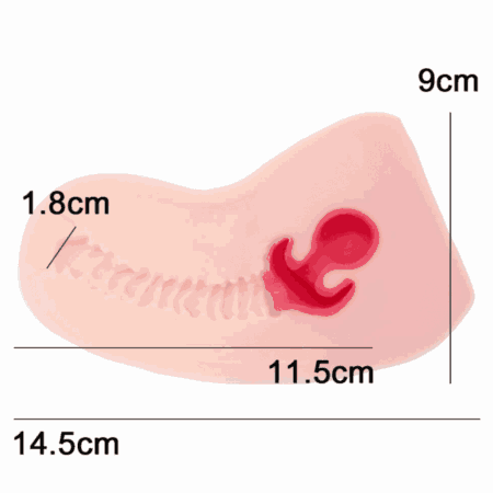 HON-MONO 極生の内部構造