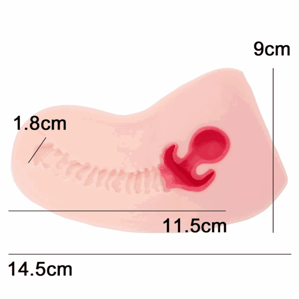 HON-MONO 極生の内部構造
