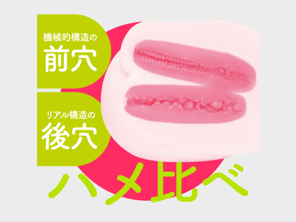 ぷにあなミラクルDXの内部構造